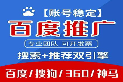 专业SEM服务公司案例分析报告